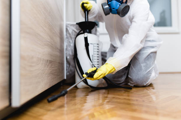 Insect Control in Hoopers Creek, NC