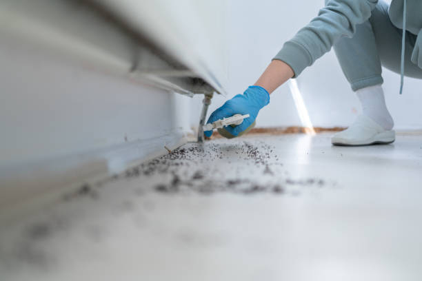 Best Pest Inspection Near Me  in Hoopers Creek, NC